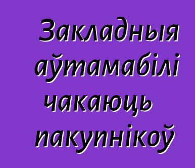 Закладныя аўтамабілі чакаюць пакупнікоў