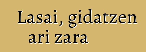 Lasai, gidatzen ari zara