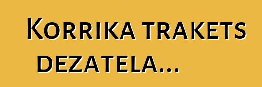 Korrika trakets dezatela...