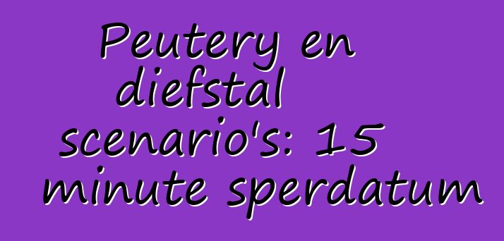 Peutery en diefstal scenario's: 15 minute sperdatum