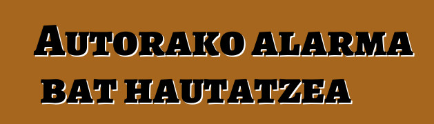 Autorako alarma bat hautatzea