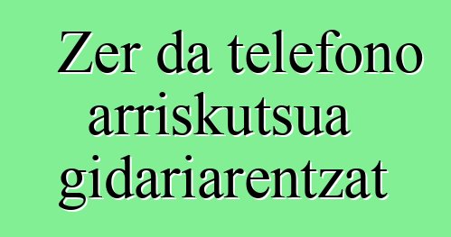 Zer da telefono arriskutsua gidariarentzat
