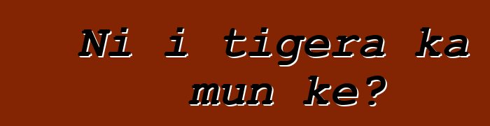 Ni i tigɛra ka mun kɛ?