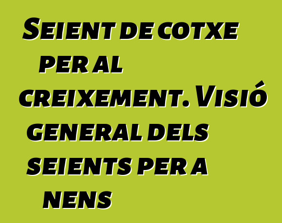 Seient de cotxe per al creixement. Visió general dels seients per a nens