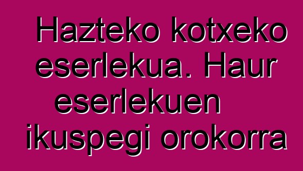 Hazteko kotxeko eserlekua. Haur eserlekuen ikuspegi orokorra