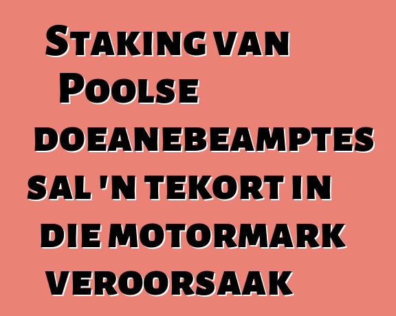 Staking van Poolse doeanebeamptes sal 'n tekort in die motormark veroorsaak