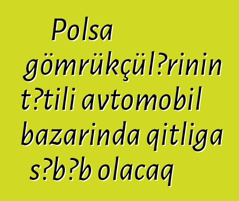 Polşa gömrükçülərinin tətili avtomobil bazarında qıtlığa səbəb olacaq