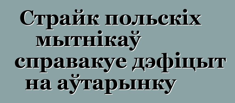 Страйк польскіх мытнікаў справакуе дэфіцыт на аўтарынку