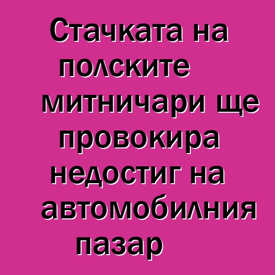 Стачката на полските митничари ще провокира недостиг на автомобилния пазар