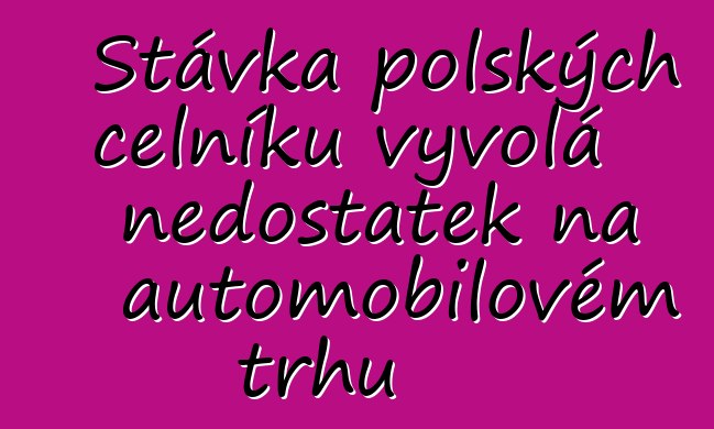 Stávka polských celníků vyvolá nedostatek na automobilovém trhu