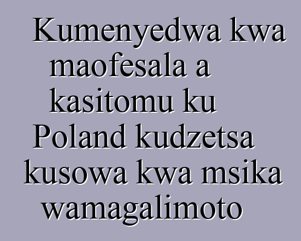 Kumenyedwa kwa maofesala a kasitomu ku Poland kudzetsa kusowa kwa msika wamagalimoto