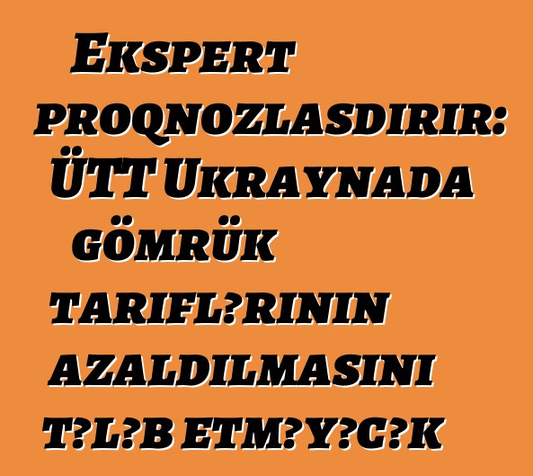 Ekspert proqnozlaşdırır: ÜTT Ukraynada gömrük tariflərinin azaldılmasını tələb etməyəcək
