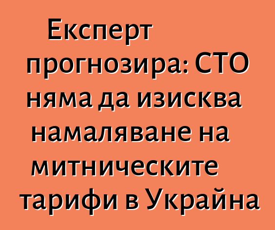 Експерт прогнозира: СТО няма да изисква намаляване на митническите тарифи в Украйна