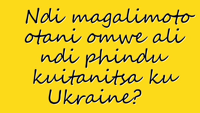 Ndi magalimoto otani omwe ali ndi phindu kuitanitsa ku Ukraine?