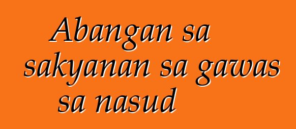 Abangan sa sakyanan sa gawas sa nasud