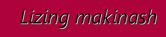 Lizing makinash