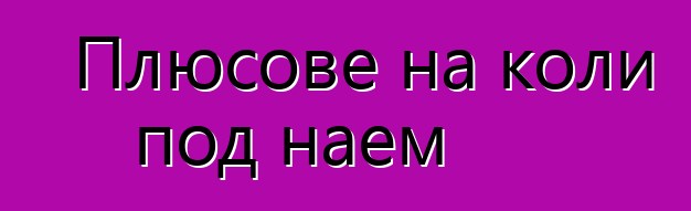 Плюсове на коли под наем