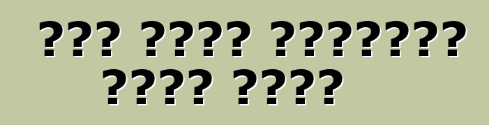 কেন একটি লিমুজিন বেছে নিন?