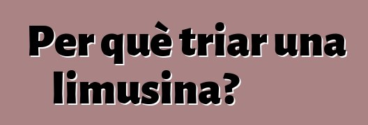 Per què triar una limusina?