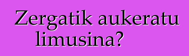 Zergatik aukeratu limusina?