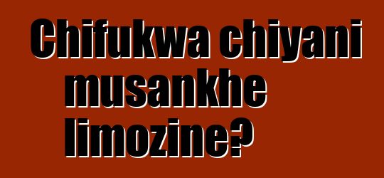 Chifukwa chiyani musankhe limozine?