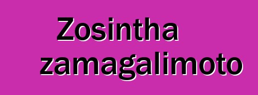 Zosintha zamagalimoto
