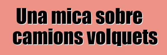 Una mica sobre camions volquets