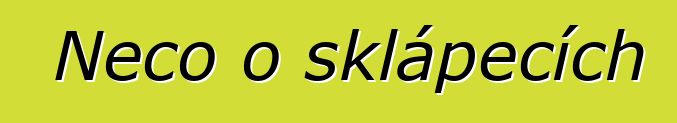 Něco o sklápěcích