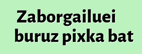 Zaborgailuei buruz pixka bat