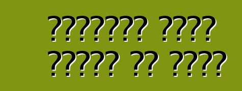 የቮልስዋገን መኪኖች መለዋወጫ ብቻ ሳይሆን