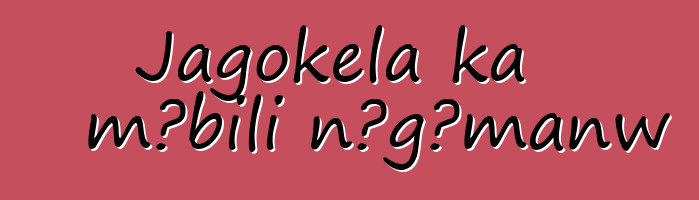 Jagokɛla ka mɔbili nɔgɔmanw