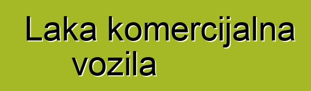 Laka komercijalna vozila