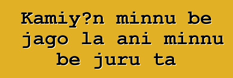 Kamiyɔn minnu bɛ jago la ani minnu bɛ juru ta