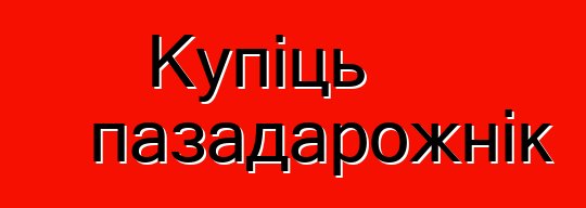 Купіць пазадарожнік