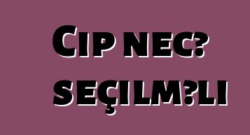Cip necə seçilməli