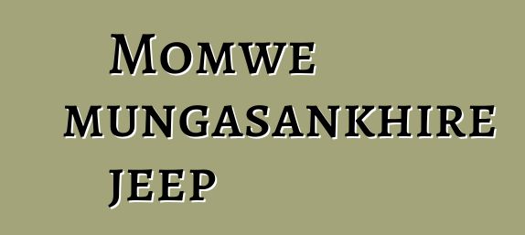 Momwe mungasankhire jeep