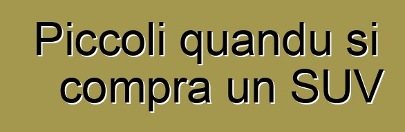 Piccoli quandu si compra un SUV