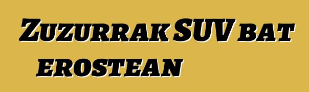 Zuzurrak SUV bat erostean