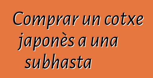 Comprar un cotxe japonès a una subhasta