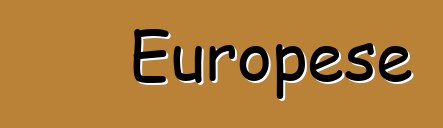 Europese passasiersmotorklassifikasie