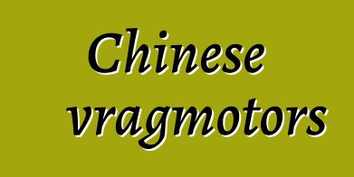 Chinese vragmotors