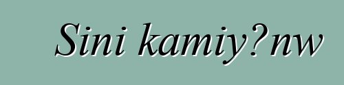 Sini kamiyɔnw