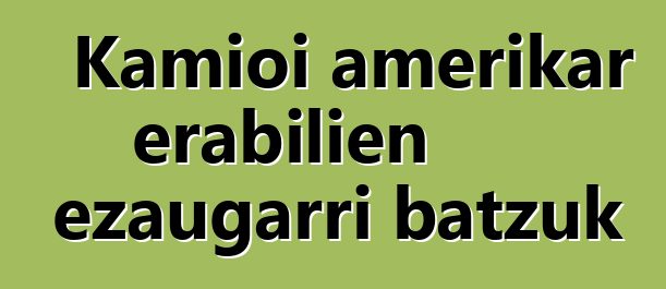 Kamioi amerikar erabilien ezaugarri batzuk