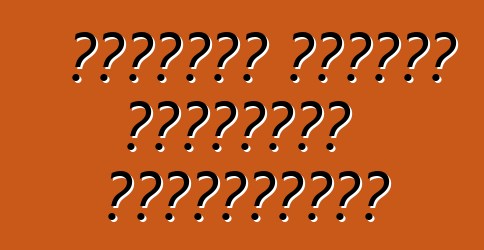 Չինական ընդդեմ ռուսական մեքենաների