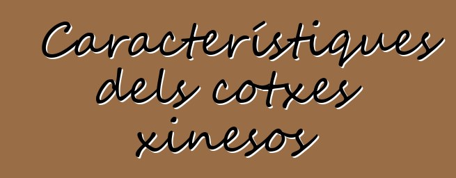 Característiques dels cotxes xinesos