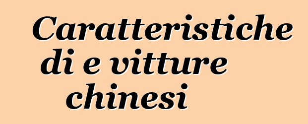 Caratteristiche di e vitture chinesi