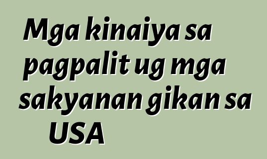 Mga kinaiya sa pagpalit ug mga sakyanan gikan sa USA