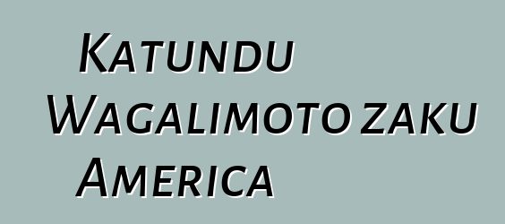 Katundu Wagalimoto zaku America