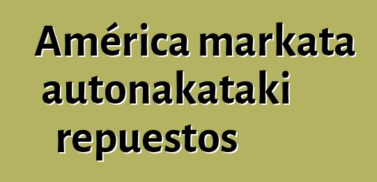 América markata autonakataki repuestos