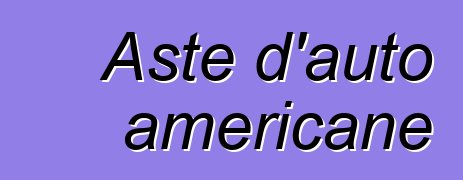 Aste d'auto americane
